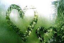 90极速和90极速比分网是什么关系？有何区别？