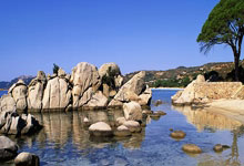 日本队和韩国队，谁在足球领域的实力更胜一筹？